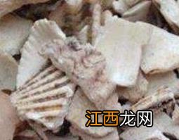 中药煅瓦楞子的功效与作用及食用方法