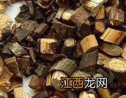 钻山风的功效与作用及禁忌 中药钻山风的作用与使用禁忌