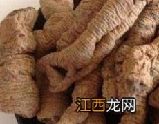 巴戟天的作用与功效 杜仲的作用与功效