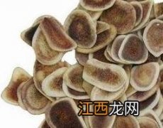 鹿茸的药用价值 鹿茸的药用价值是什么