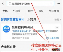 咸阳医保移动支付是啥 咸阳医保移动支付是啥银行