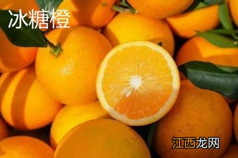 冰糖橙子和脐橙的区别 脐橙与冰糖橙区别