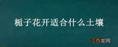 栀子花开适合什么土壤 适合栀子花生长的土壤