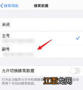 iphone12怎么切换主副卡流量 iphone12怎么切换主副卡