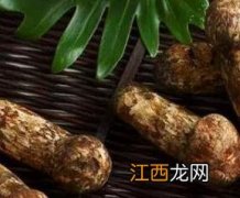 松茸的功效与作用及禁忌 松茸的功效与作用