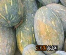 蜜冠南瓜的营养价值 蜜本南瓜营养价值