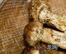 松茸不能和什么一起吃?吃松茸的禁忌 松茸不能和什么一起吃