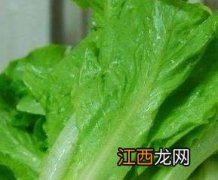 生菜的功效与作用与主治 生菜的功效与作用