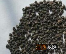 白花菜子的功效与作用及药用价值及禁忌 白花菜子的功效与作用及药用价值