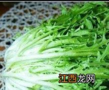 苦苣菜功效与作用 苦苣菜的功效与作用