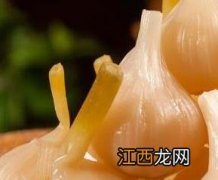 小米辣和蒜头怎么腌制好吃 蒜头怎么腌制好吃