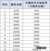 2022连云港灵活就业人员养老保险每月缴纳多少？