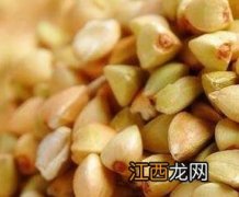 苦黑荞麦的功效与作用及食用方法 荞麦的功效与作用及食用方法