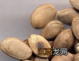 瓜蒌的功效与药用作用 瓜蒌的功效与药用作用是什么