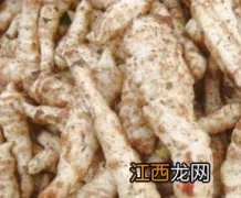 甘露子的功效与作用 甘露子