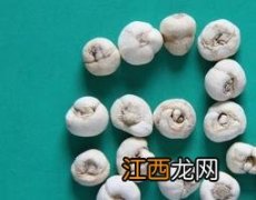 平贝母的功效与药用作用 平贝母的功效与作用的功能与主治