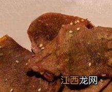 牛舌头的营养价值与功效作用 牛舌头的营养价值与功效作用图片