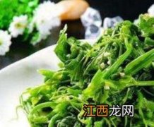 龙须菜是什么菜 龙须菜是什么菜图片