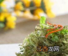 龙须菜图片 海里生长的龙须菜图片