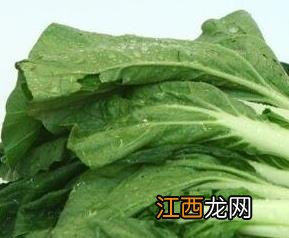 油菜和小白菜的营养价值 油菜和小白菜的营养价值区别