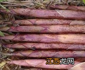 怎样挑选春笋 怎样挑选春笋春笋的做法