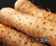 山药的营养价值与功效作用 山药的营养价值及功效与作用