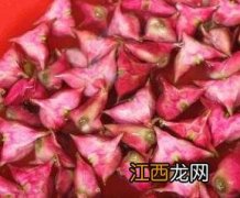 菱角怎么吃 菱角怎么吃生吃还是熟吃