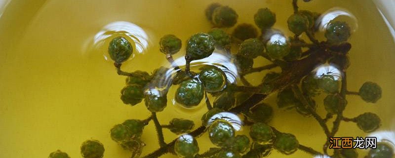 花椒油和藤椒油的区别在哪里 花椒油和藤椒油的区别