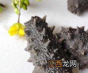 盐渍海参如何保存 盐渍海参保存冷冻还是冷藏