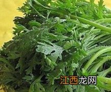 菊花菜的家常做法 菊花菜