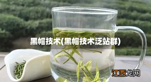 黑帽技术泛站群 黑帽技术