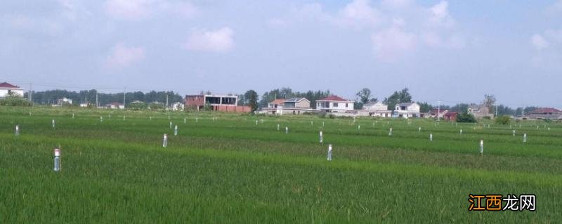 二氢尿嘧啶脱氢酶 二氢尿嘧啶