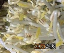 绿豆芽怎么发又粗又快不长根 绿豆芽怎么发