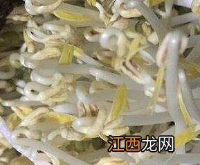 绿豆芽怎么发又粗又快不长根 绿豆芽怎么发