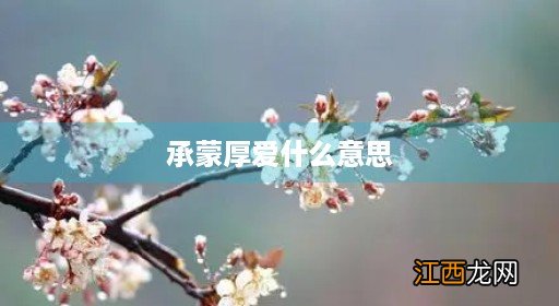 感谢相遇承蒙厚爱什么意思 承蒙厚爱什么意思