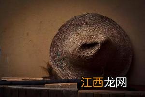 微信发个狗头是什么意思 狗头是什么意思