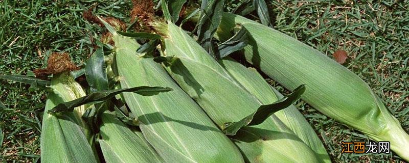 硝磺莠去津与烟嘧莠去津的区别 硝磺莠去津的作用