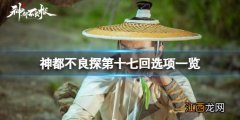 神都不良探第十七回时间顺序是什么