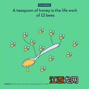 兔子图片 兔子有几条腿