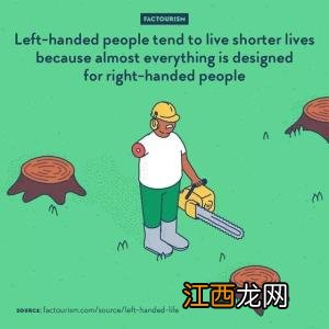 兔子图片 兔子有几条腿