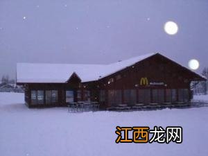 兔子图片 兔子有几条腿