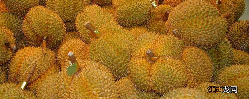 榴莲怎么催熟 剥开的榴莲不熟要怎么放才能熟