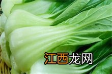 油菜百科 百度百科油菜