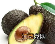 牛油果百科 百度百科牛油果