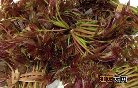 孕妇能吃香椿吗晚期 孕妇能吃香椿吗