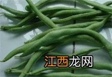 四季豆的功效与作用 四季豆