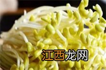 豆芽的功效与作用 豆芽