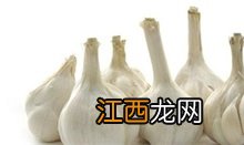 大蒜 大蒜成长日记手抄报