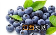 蓝莓 蓝莓的功效与作用