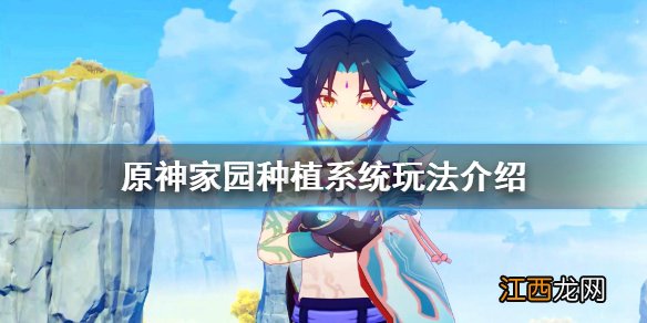 原神尘歌壶种菜任务 原神尘歌壶种菜怎么玩